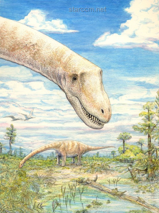 **中国空间站揭秘：微生物新物种的惊人发现**